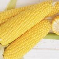 Кукурудза кормова